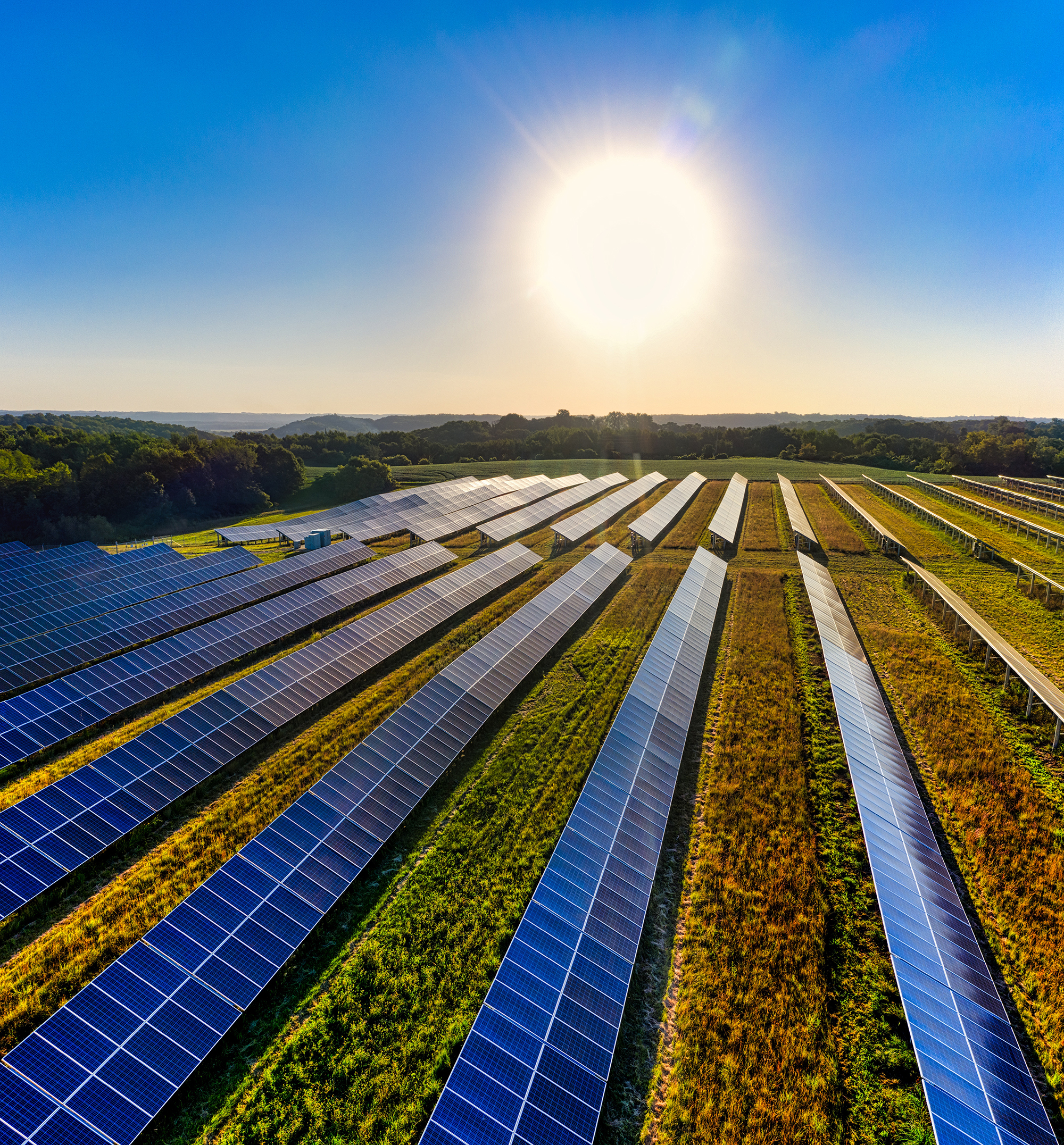 Solar Farm, Solar Energy, Solar Panels